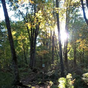 Meet your Posher, Sean